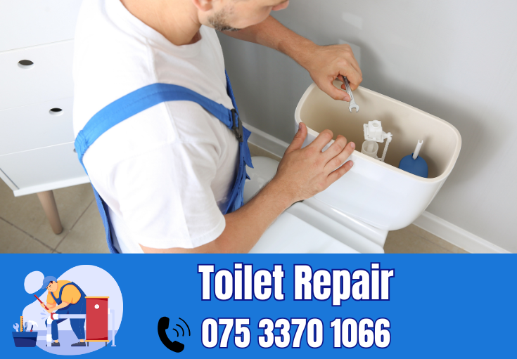 toilet repair Chestfield